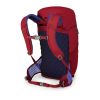 Рюкзак туристический Osprey Jet 18 cosmic red O/S (009.2136) - Изображение 1