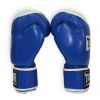 Боксерські рукавички Thor Competition 14oz Blue/White (500/02(Leath) BLU/WHITE 14 oz.) - Зображення 1