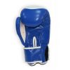 Боксерські рукавички Thor Competition 14oz Blue/White (500/02(Leath) BLU/WHITE 14 oz.) - Зображення 3