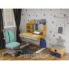 Парта с креслом Mealux Timberdesk S (парта+кресло+тумба) (BD-685 S+ box BD 920-2 BL+Y-115 TG) - Изображение 1