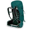 Рюкзак туристичний Osprey Tempest 30 jasper green - WM/L - зелений (009.2361) - Зображення 1