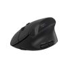 Мышка Canyon MW-25 LED Silent Wireless/Bluetooth Black (CNS-CMSW25) - Изображение 1
