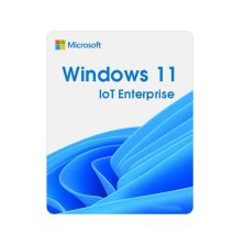 Операционная система Microsoft Windows 11 IoT Enterprise LTSC 2024 Perpetual, Commercial, OneTime (DG7GMGF0PP49_0001)