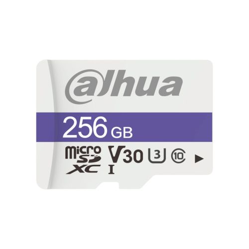 Карта памяти Dahua DHI-TF-C100/256GB