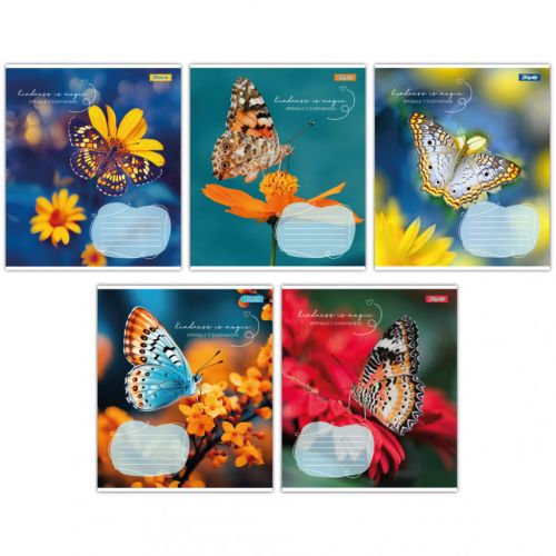 Тетрадь 1 вересня А5 1В Butterfly 48 листов клетка (767357)