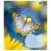 Тетрадь 1 вересня А5 1В Butterfly 48 листов клетка (767357) - Изображение 2