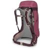 Рюкзак туристичний Osprey Sirrus 26 elderberry purple/chiru tan O/S (009.3592) - Зображення 1