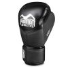 Боксерские перчатки Phantom Riot Pro Black 10 унцій (PHBG2540-10) - Изображение 1