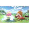 Игра Nintendo 2 KIRBY AIR RIDERS, картридж (0045496313142) - Изображение 2
