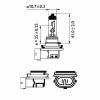 Автолампа Philips галогенова 35W (12360 B1) - Зображення 2