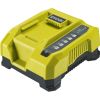 Набор аккумулятор + зарядное устройство Ryobi Max Power RY36BK60B-160, 36V, 1х6Ah, ЗУ 6А быстрозарядный (5133005977) - Изображение 1