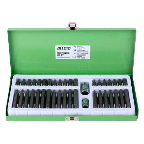 Набір біт Alloid шестигранних, SPLINE, TORX, 40шт. (NB-3840)