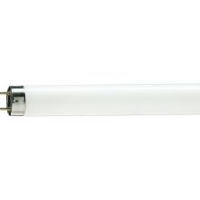 Лампочка Philips TL-D G13 1200mm 36W/54-765 1SL/25 (928048505451)