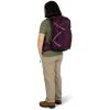 Рюкзак туристичний Osprey Sportlite 25 blue sky S/M (009.3038) - Зображення 3