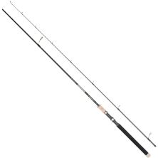 Вудилище Savage Gear Titanium Spin 9'/2.75m 30-80g (1854.00.77)