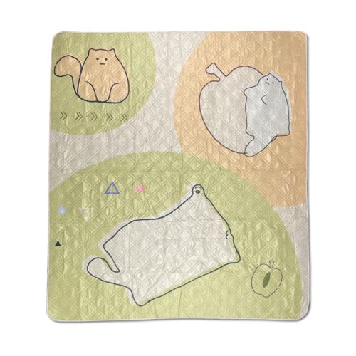 Туристичний килимок Naturehike 210х240 см CNK2350WS010 Світло-салатовий (6976507661713) Туристичний килимок Naturehike 210х240 см CNK2350WS010 Світло-салатовий (6976507661713)