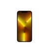 Мобільний телефон Apple iPhone 13 Pro 1TB Gold (MLVY3) - Зображення 1