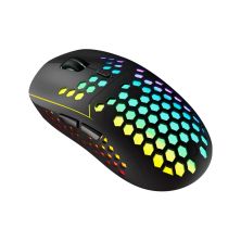 Мышка Canyon Haster GMW-18 Wireless Black (CND-SGMW18)