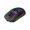 Мышка Canyon Haster GMW-18 Wireless Black (CND-SGMW18) - Изображение 1