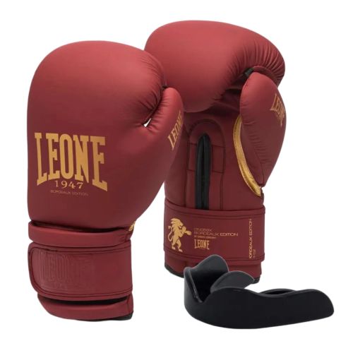 Боксерские перчатки Leone GN059X Bordeaux ED 10 унцій (GN059X_BORDEAUX_10oz)