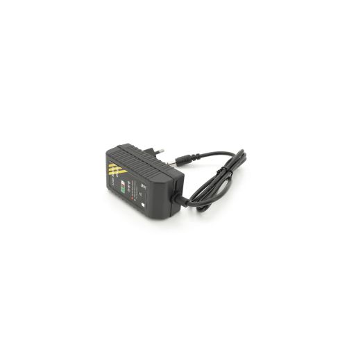 Мережевий зарядний пристрій для АКБ Voltronic Li-ion 4.2V 2.5A (YT-3-5004-30E)