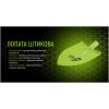 Лопата Alloid штыковая, 0.9кг (SH-2230) - Изображение 3