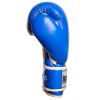 Боксерские перчатки PowerPlay 3019 12oz Blue (PP_3019_12oz_Blue) - Изображение 1