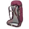 Рюкзак туристический Osprey Sirrus 36 elderberry purple/chiru tan O/S (009.3590) - Изображение 2