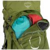 Рюкзак туристический Osprey Aether 65 garlic mustard green - S/M - зелений (009.2400) - Изображение 1