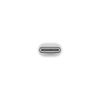 Переходник USB-C to Lightning Adapter (Model A2868) Apple (MUQX3ZM/A) - Изображение 1