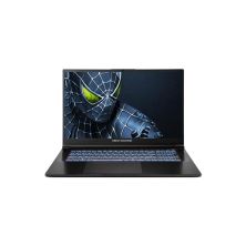 Ноутбук Dream Machines RG5050-17 (RG5050-17UA36)