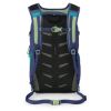 Рюкзак туристичний Osprey Daylite Plus blue spikemoss/alkaline - O/S - синій/бірюзовий (009.3725) - Зображення 2