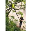 Кусторез Ryobi высоторез цепной Ryobi ONE+ RPP1820-15S 18В (5133003721) - Изображение 1