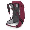 Рюкзак туристический Osprey Hikelite 32 chameleon/black - S/M - бордовий (009.4013) - Изображение 2